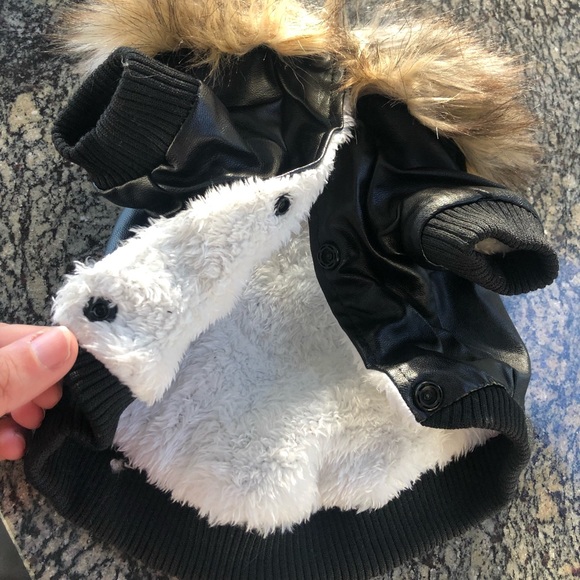 Wu-Tang dog music rap fur leather lux embroidered dog cat pet medium hip hop s - Picture 4 of 6